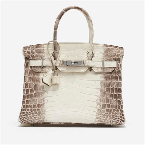 hermes himalayan birkin backpack.